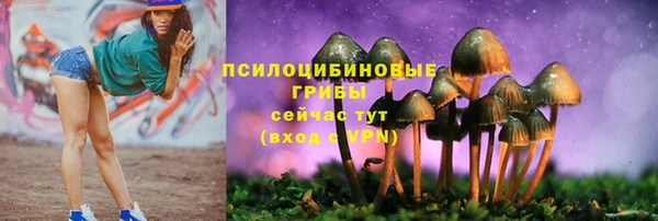 тгк Мегион