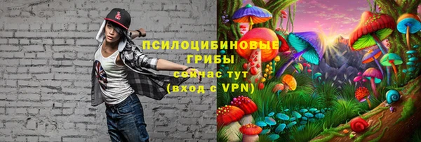 apvp Магас